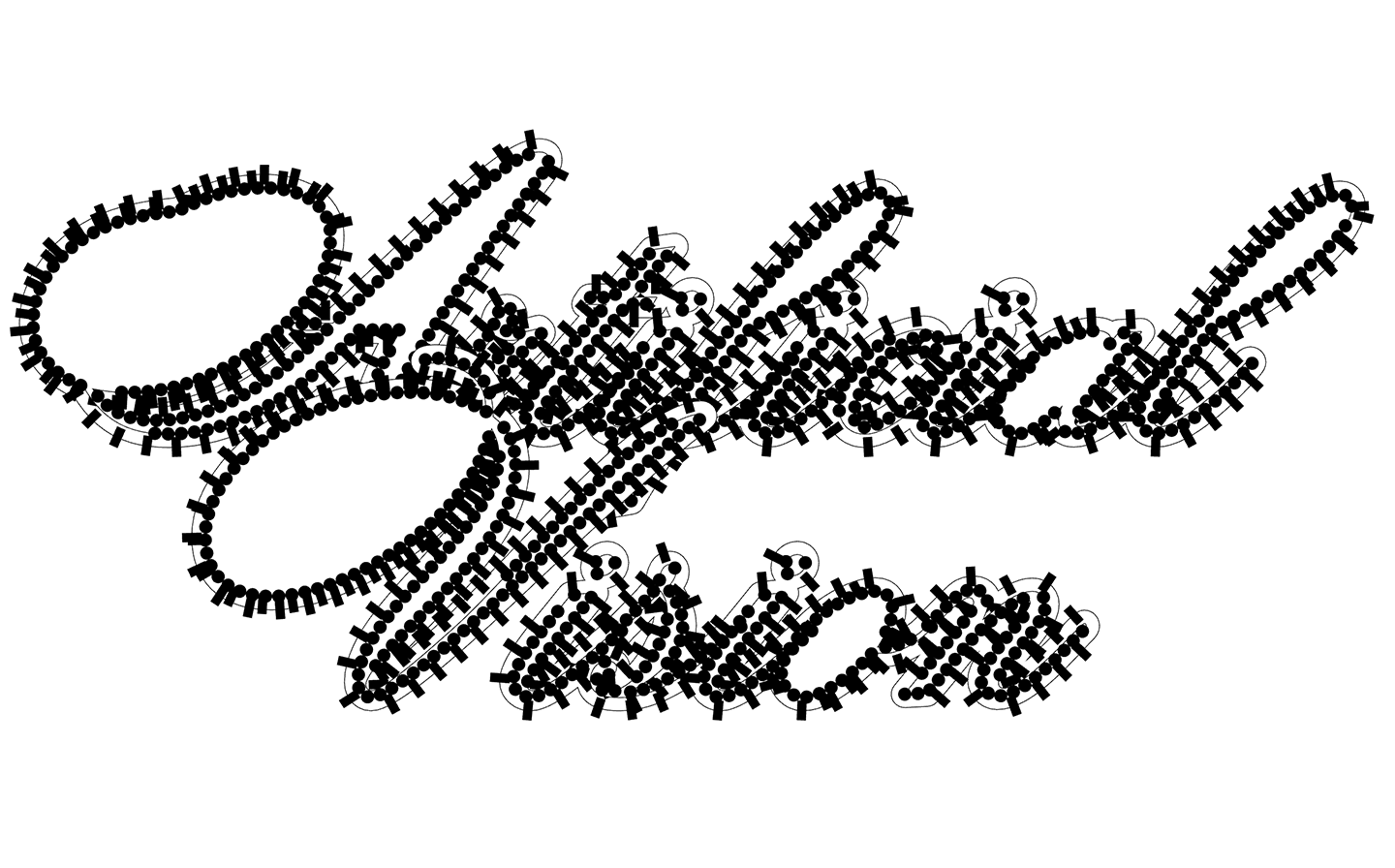 Ornament 3